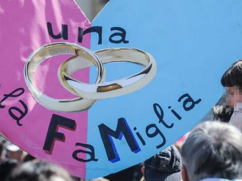 Un'immagine della manifestazione di Verona (foto LaPresse)