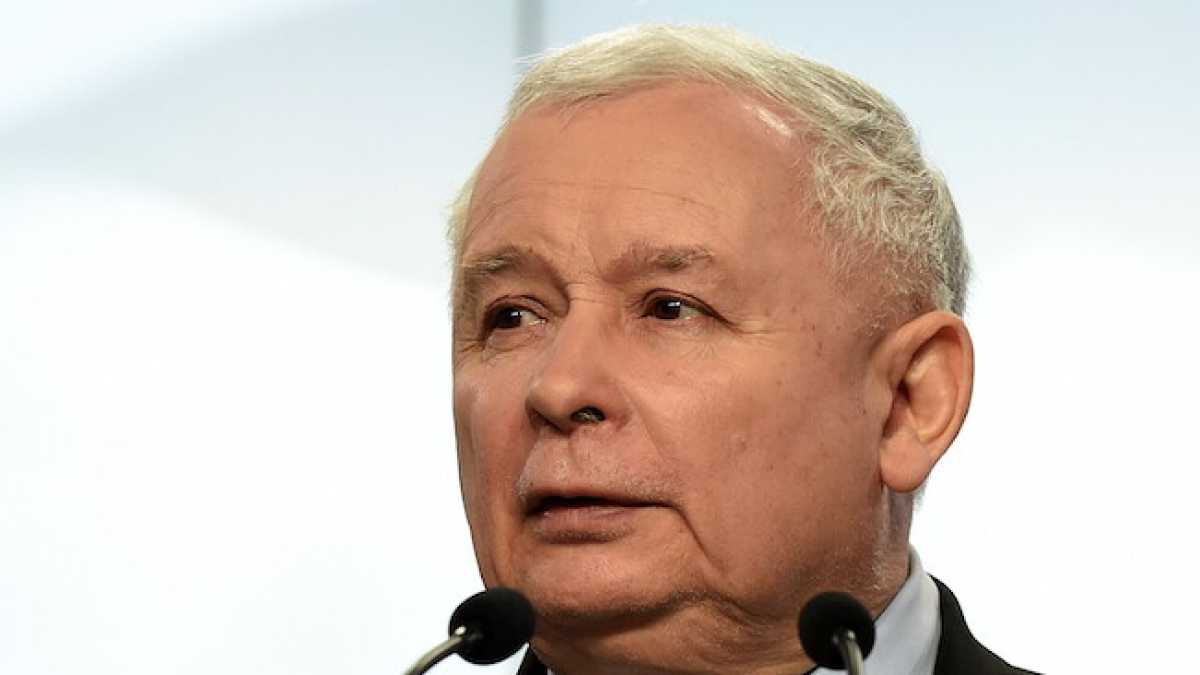 Immagine di La distorsione di Kaczynski