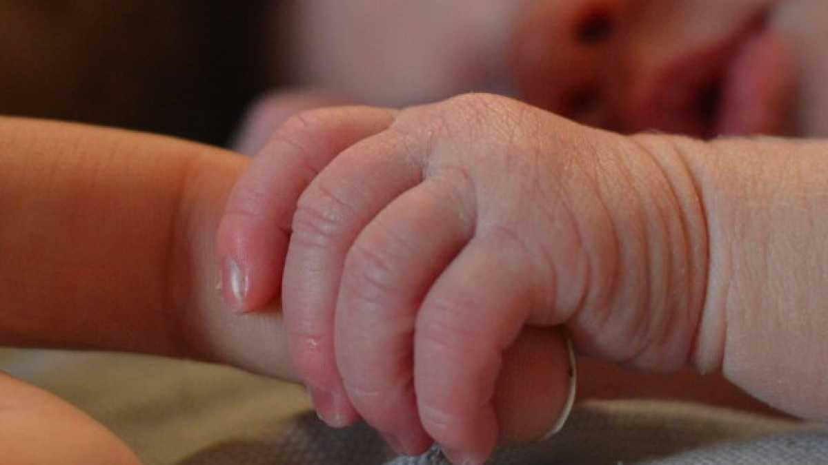 Immagine di Onora tua madre (anche sulla carta d'identità)