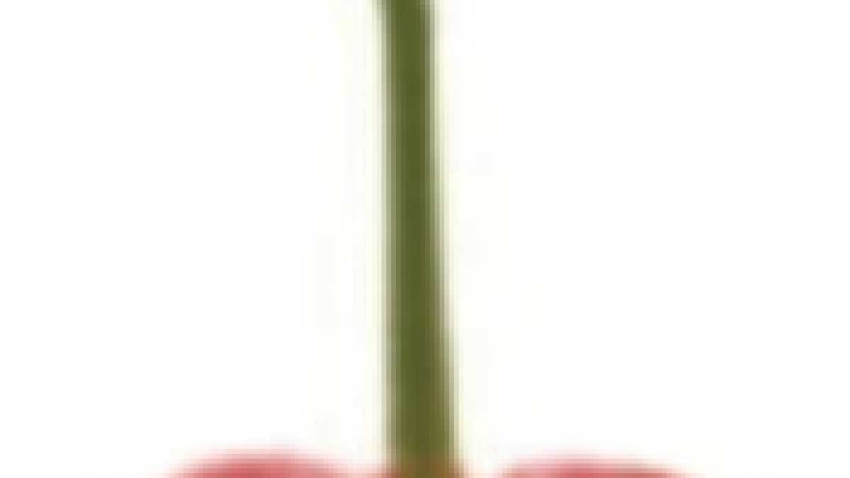 Immagine di Storia della prima crisi economica creata dalla politica