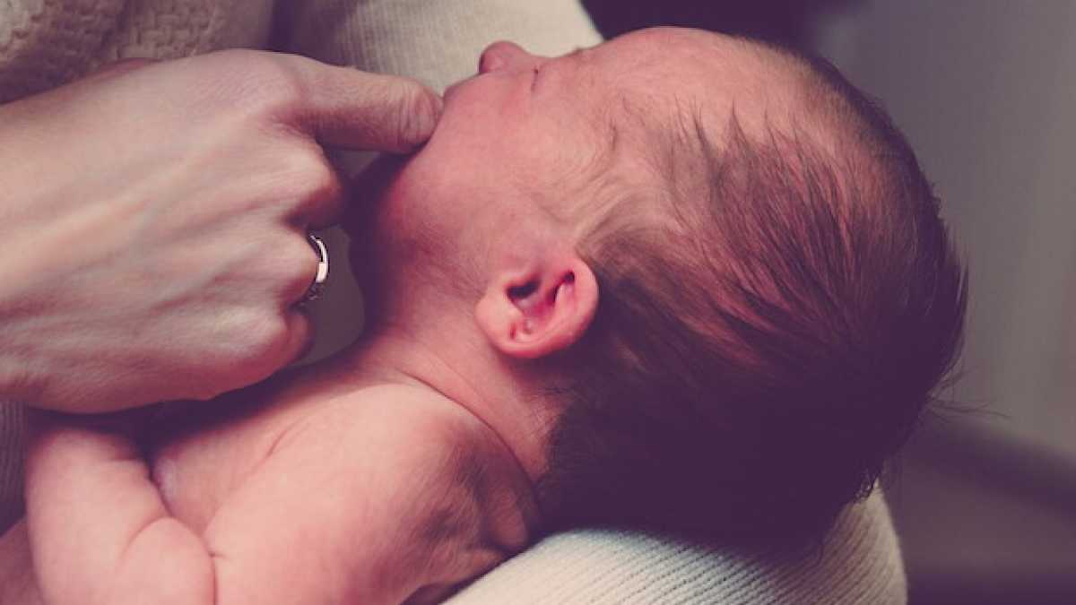 Immagine di Parlano di famiglia ma svuotano le culle