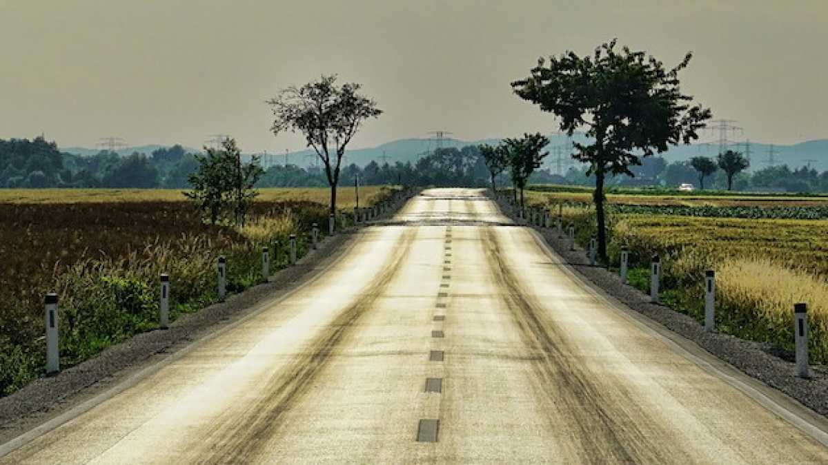 Immagine di Tutta colpa mia
