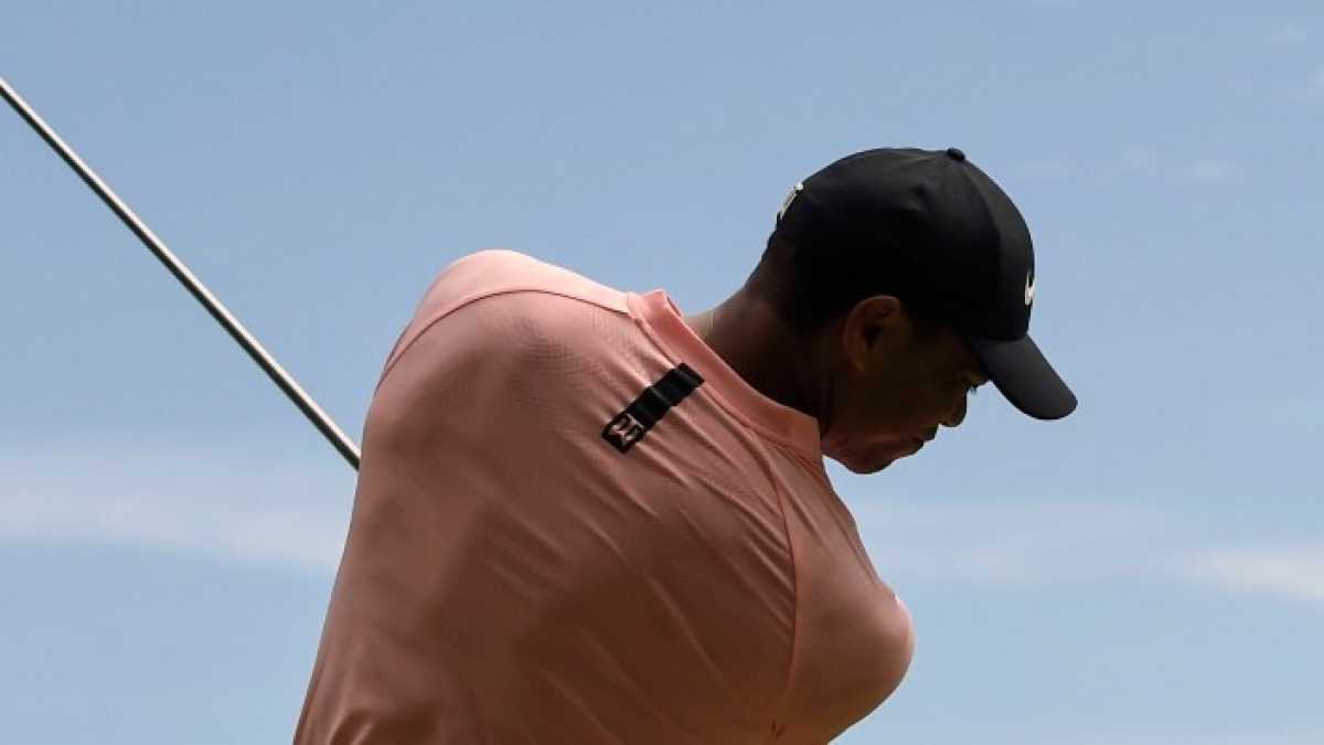 Immagine di Comeback kid