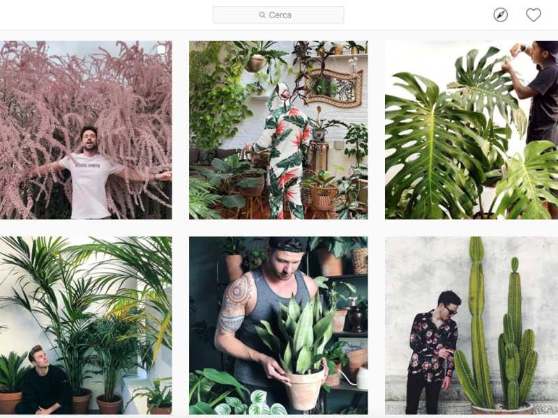 Un screenshot del profilo boyswithplants via Instagram