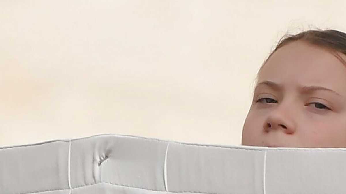 Immagine di Ambientalisti e ladri di galline