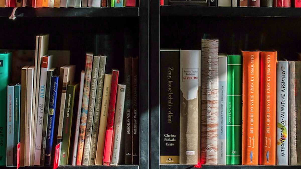 Immagine di Quanta invidia per Martin Amis e la sua sfacciata capacità di leggere
