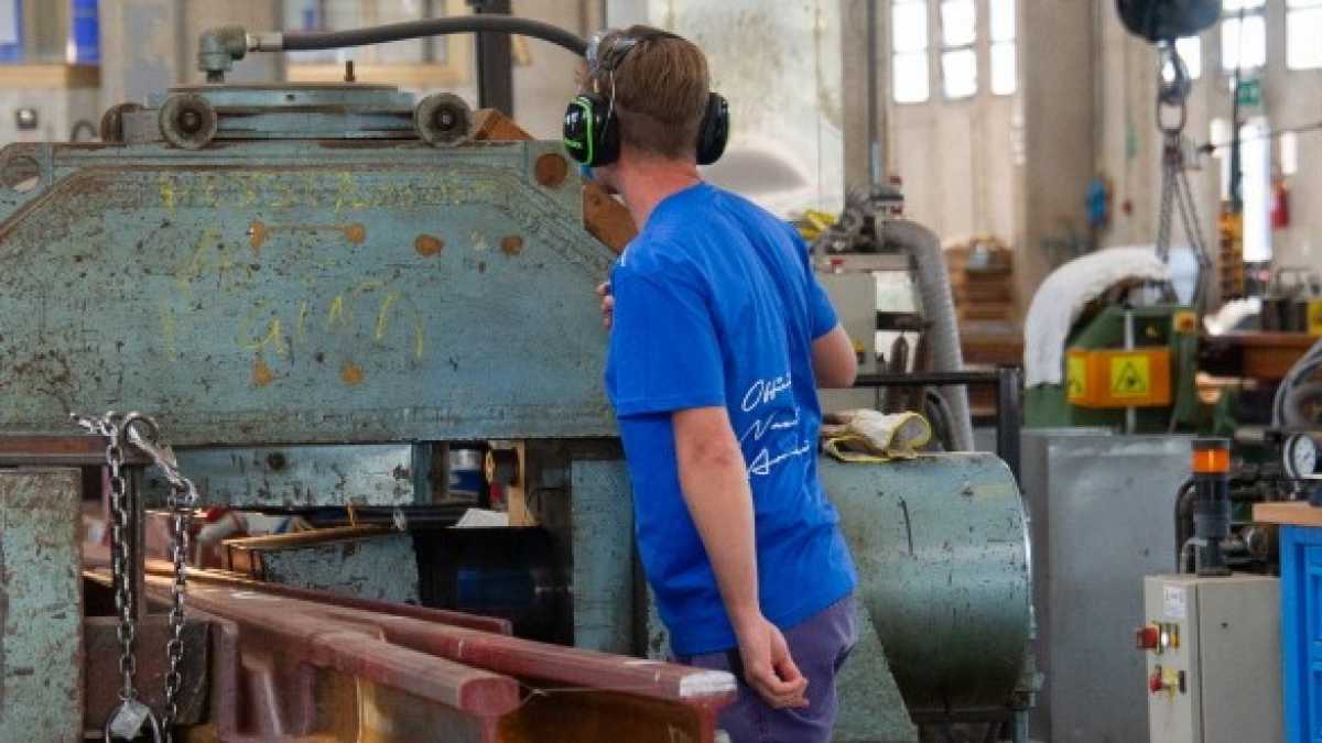 Immagine di Il lavoro non è una merce rara