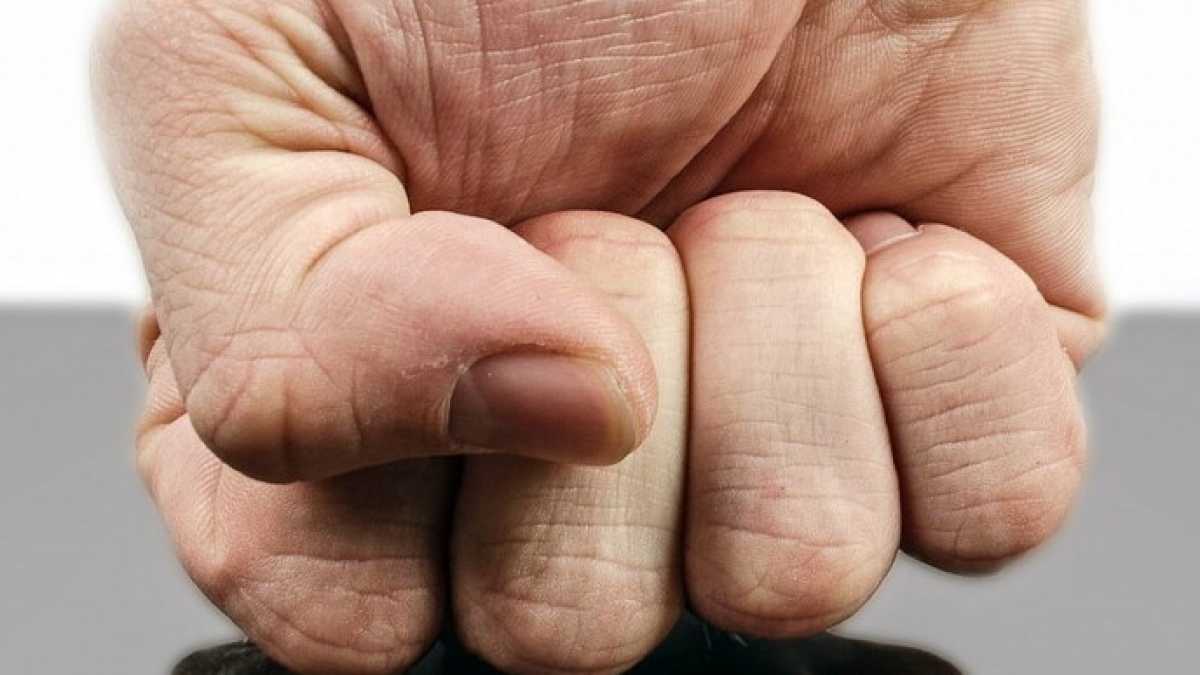 Immagine di La violenza degli umani