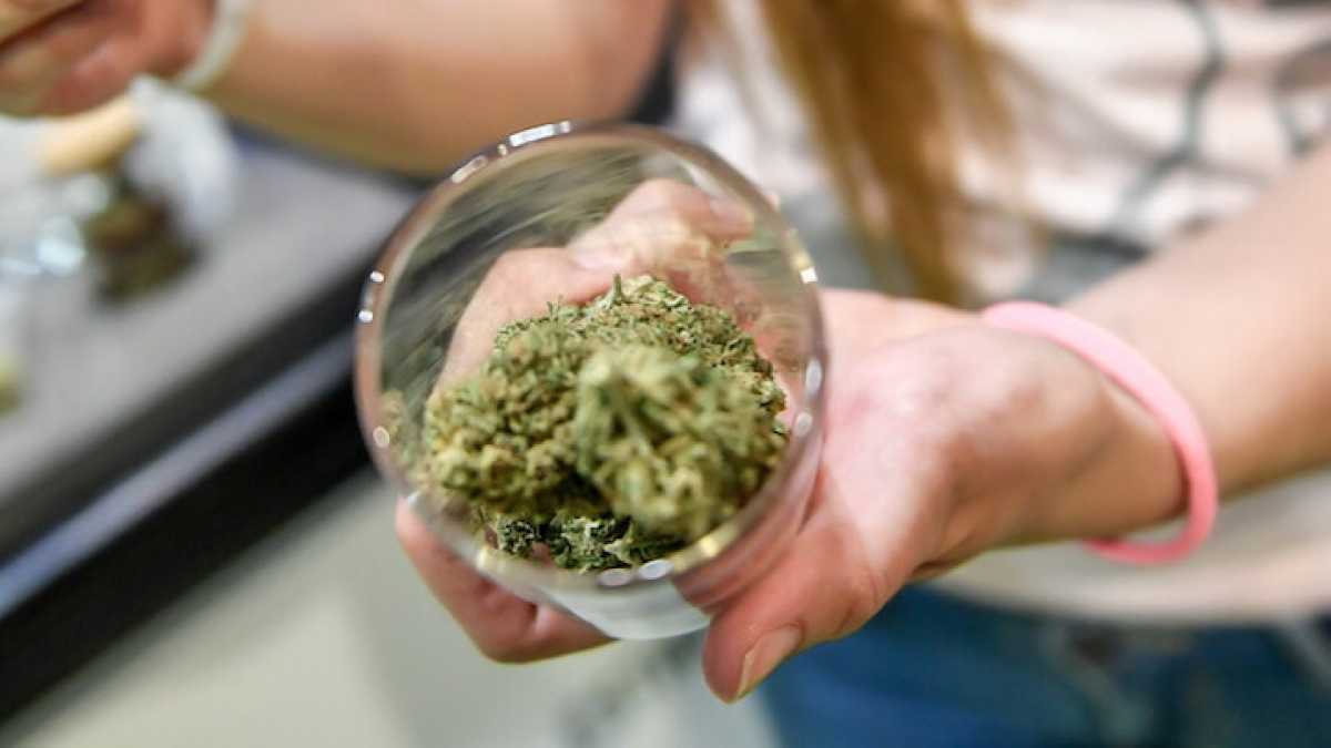 Immagine di La realtà non si droga