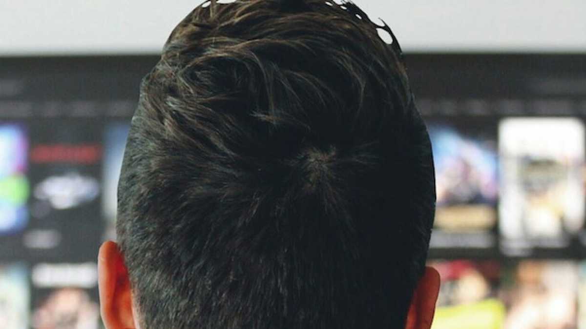 Immagine di Il calabrone Netflix