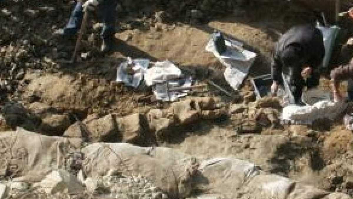 Immagine di Matera e la balena