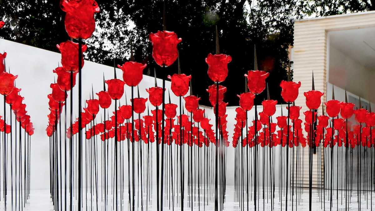 Immagine di Una Biennale in tasca