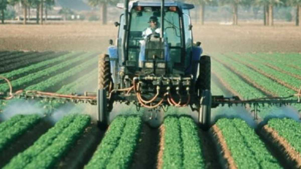 Immagine di Terza condanna a Bayer sul glifosato. Ma una sentenza non è una prova scientifica