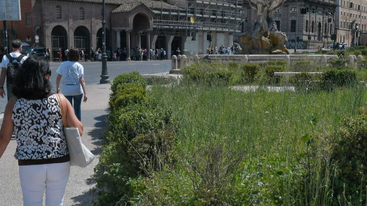 Immagine di Pecore addio. Al verde di Roma ci penseranno i privati