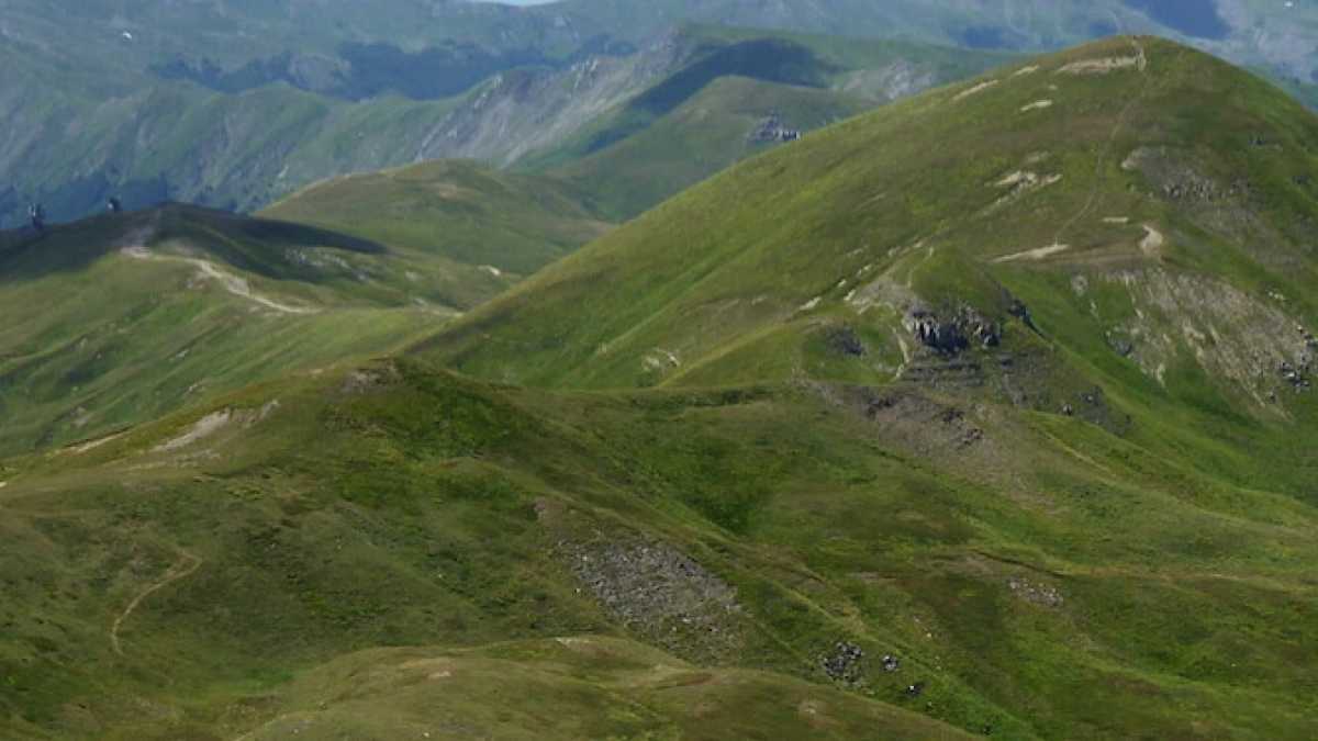 Immagine di L’Italia profonda narrata tra musi di vacche, meste ebbrezze e vecchi pregi