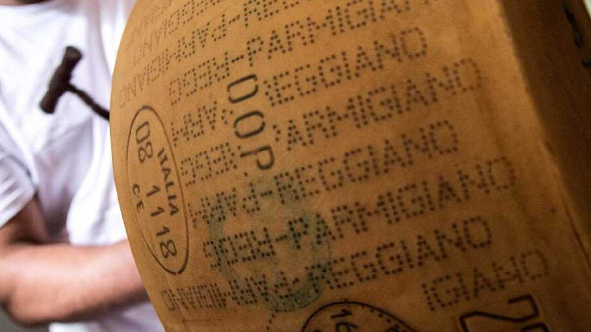 Immagine di Il futuro del Parmigiano e le nuove contestazioni a Salvini