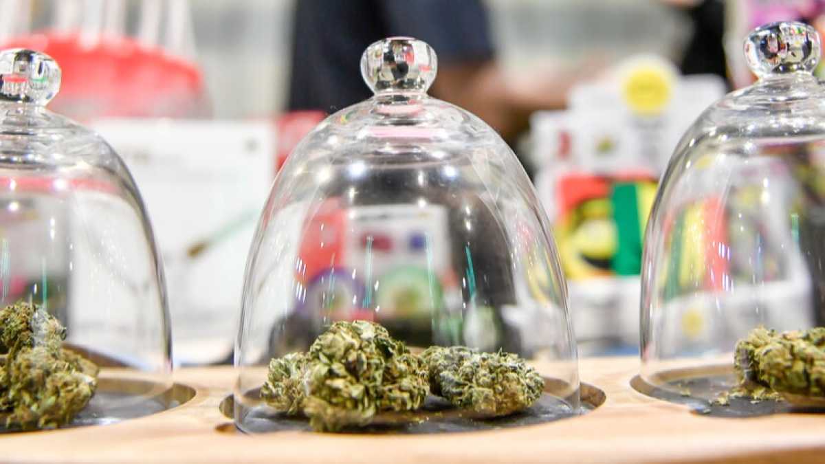 Immagine di Cosa non funziona nel dibattito sui negozi di cannabis light