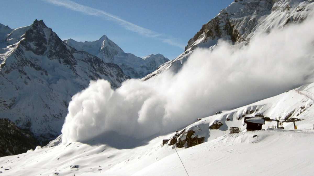 Immagine di Palla di neve minibot