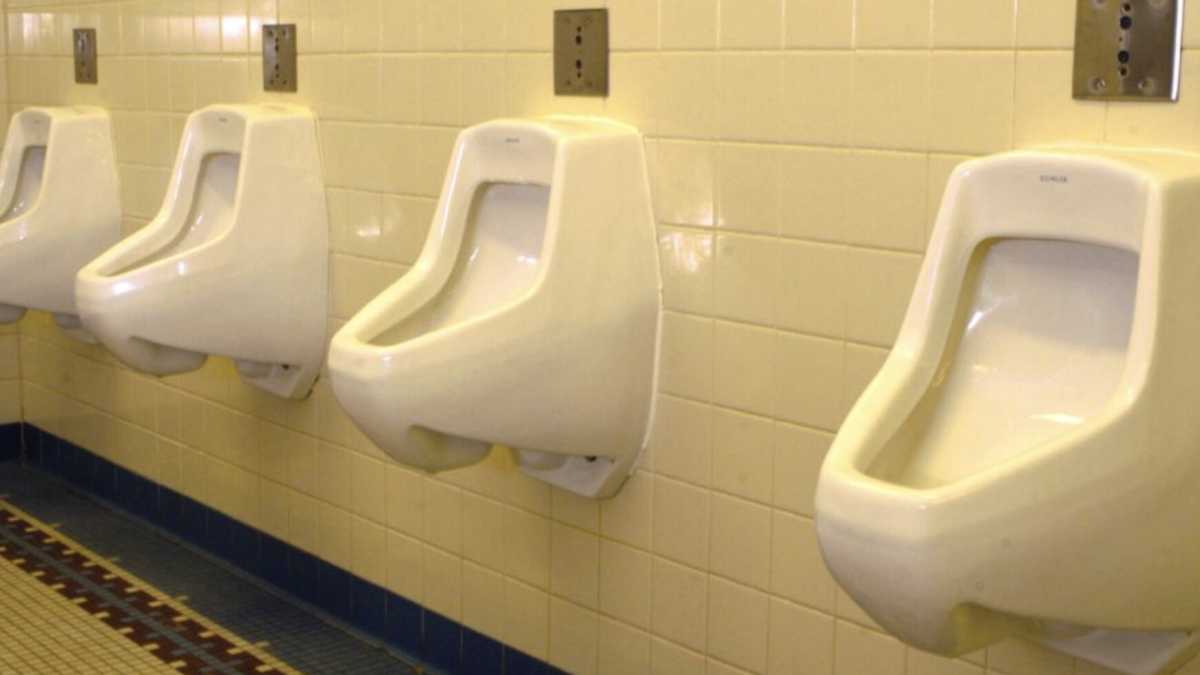 Immagine di Un camerino latrina e il Csm