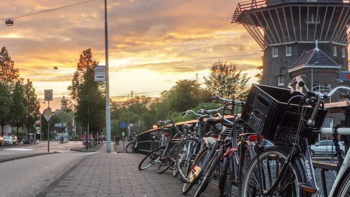 Immagine di Perché ci si rifugia in Olanda