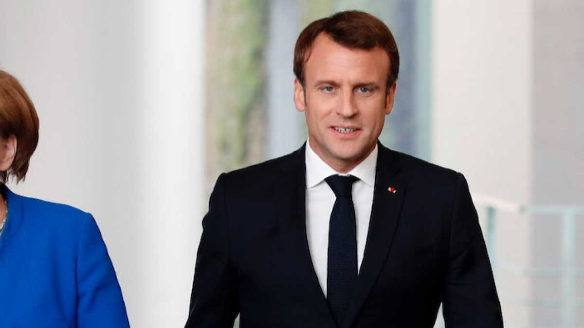 Immagine di Alleati serpenti