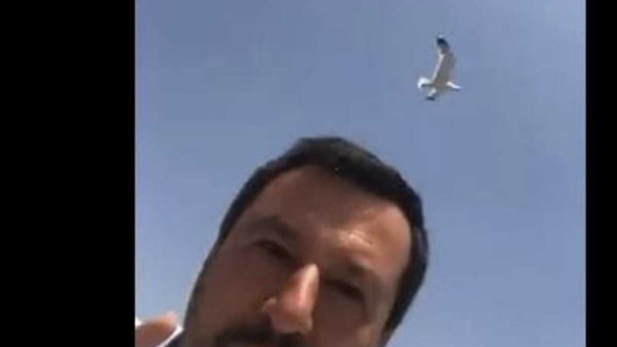 Immagine di Di galere e di gabbiani