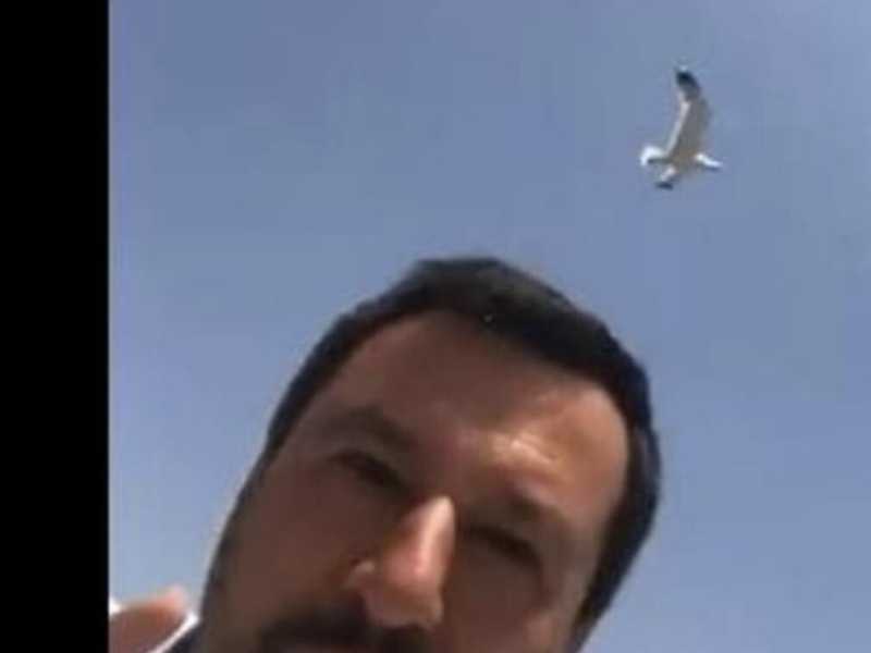 Di galere e di gabbiani