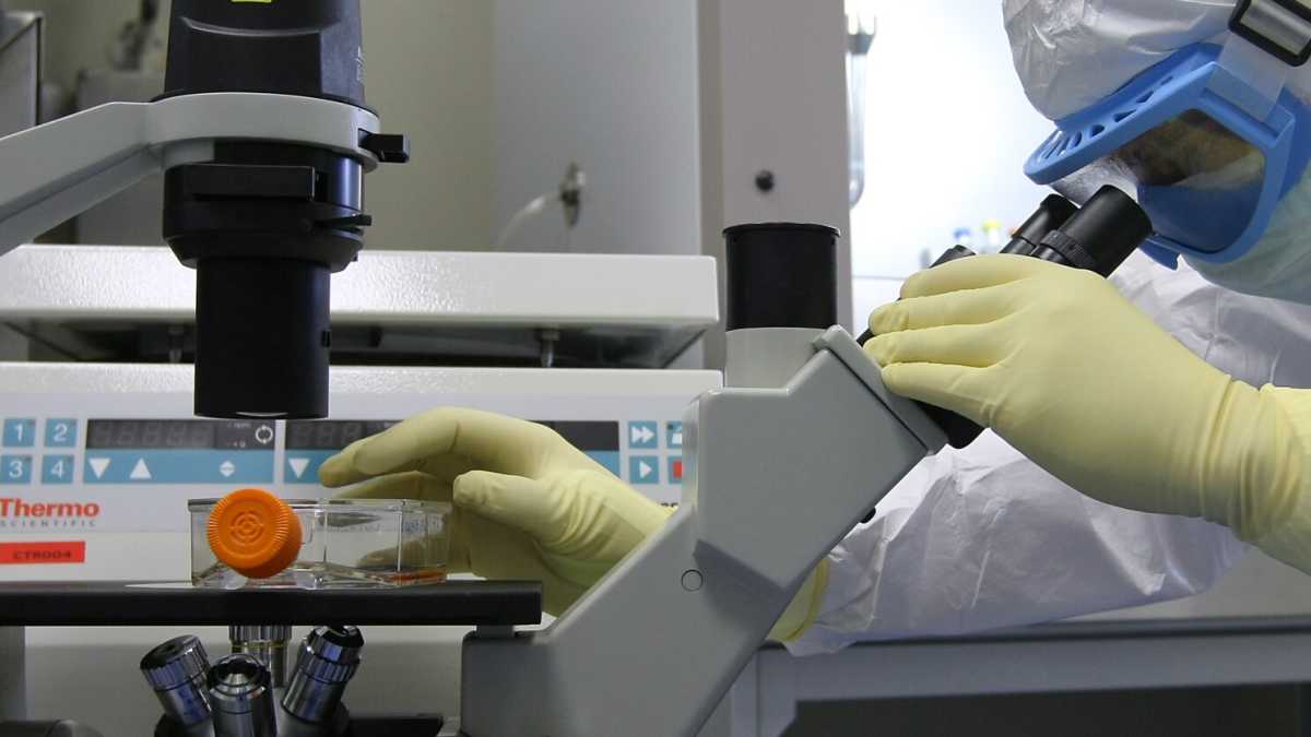 Immagine di Perché finanziare la ricerca col crowdfunding non fa bene all'università