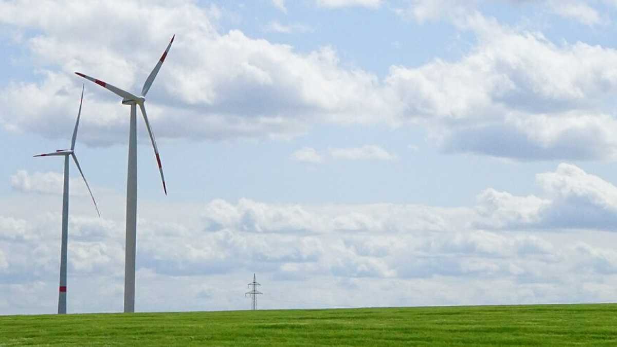 Immagine di Toh! Adesso si scopre che “l’Italia è verde”
