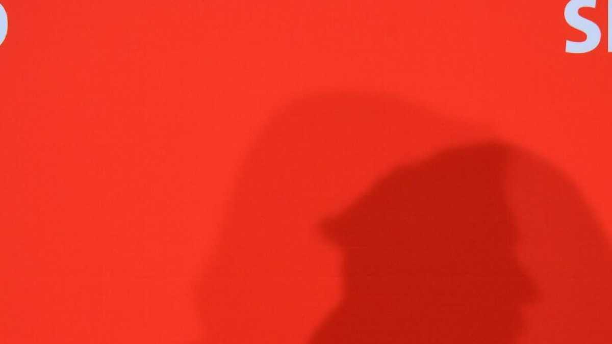 Immagine di Il duo strabico dei progressisti tedeschi