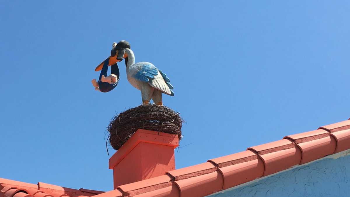 Immagine di Dubbi demografici