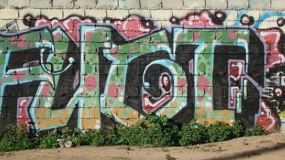 Immagine di Il diritto di essere volgari