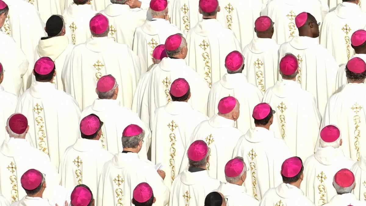 Immagine di Elogio di Cavina, paladino contro la cosificazione della vita umana