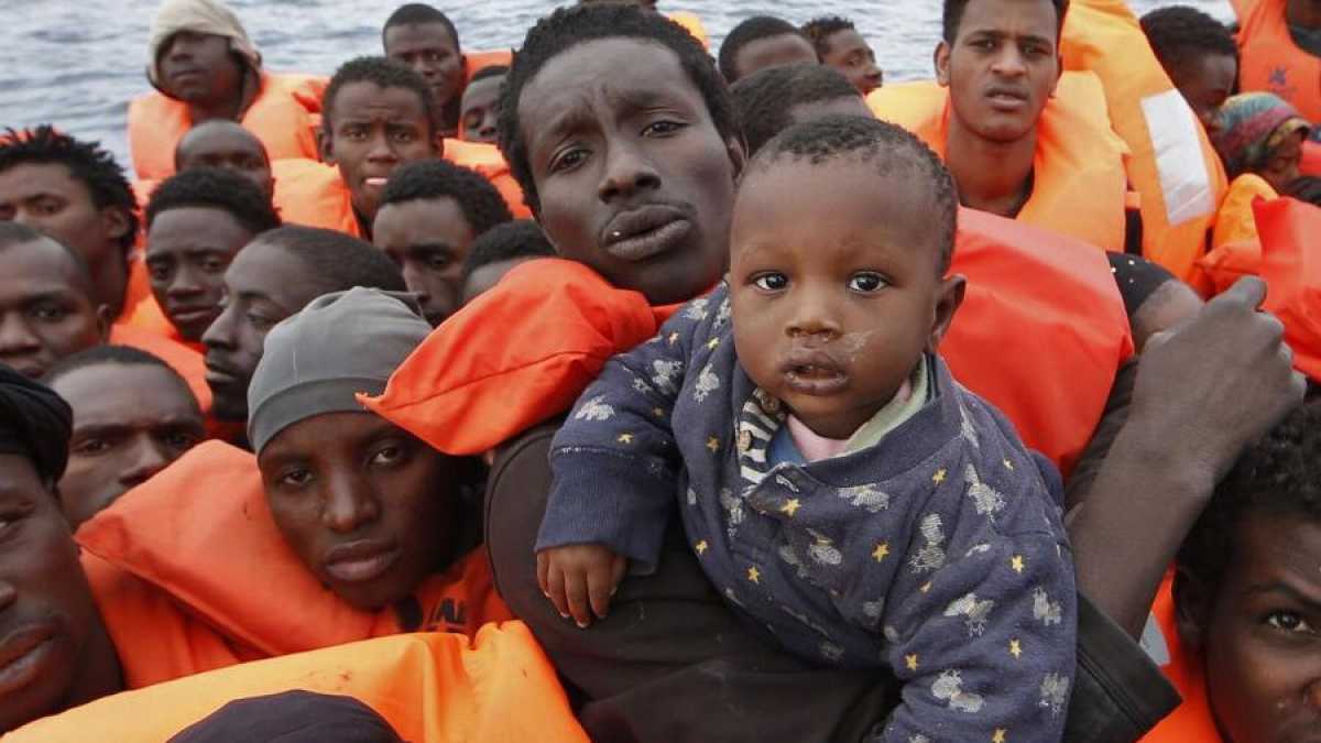 Immagine di La storia è una strage delle creature