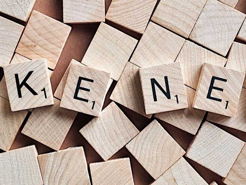 Foto di Wokandapix via Pixabay