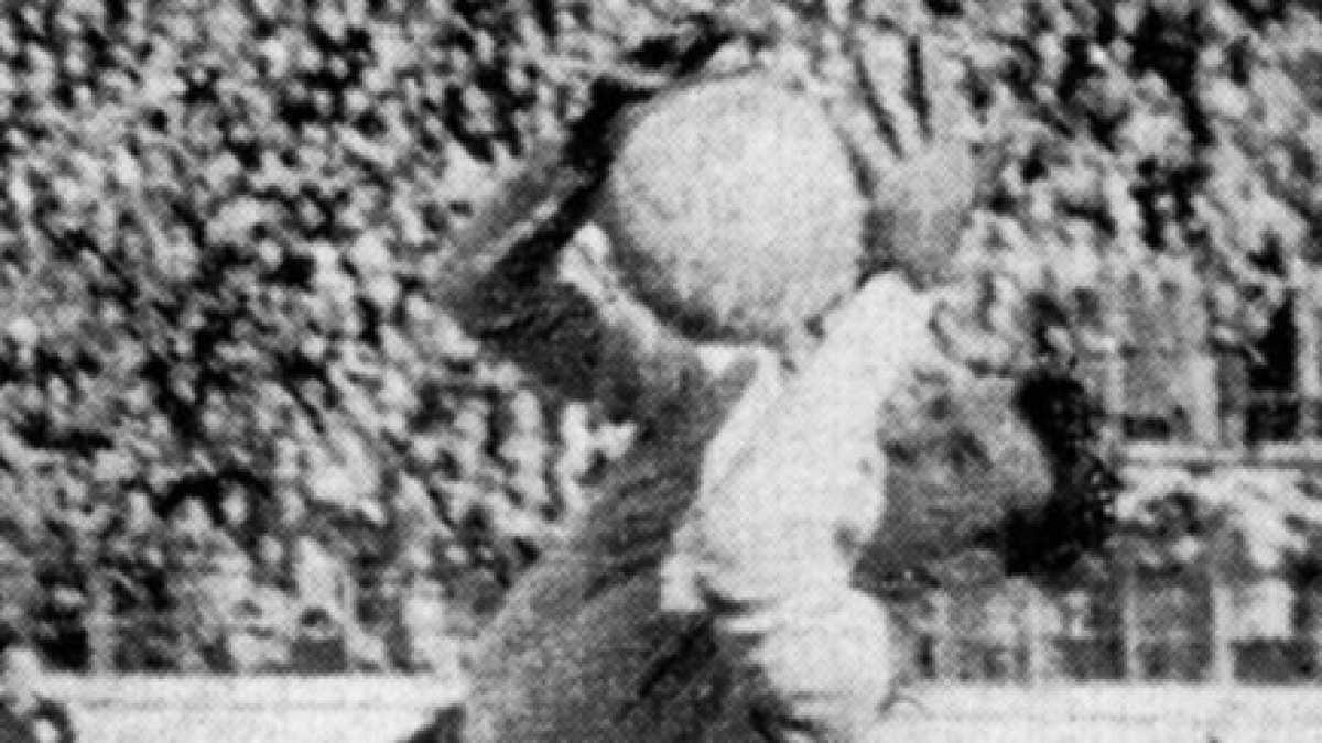 Immagine di Le pazze e spregiudicate parate di Bepi Moro