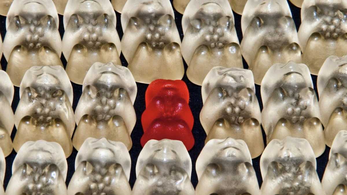 Immagine di Lode alla diversità