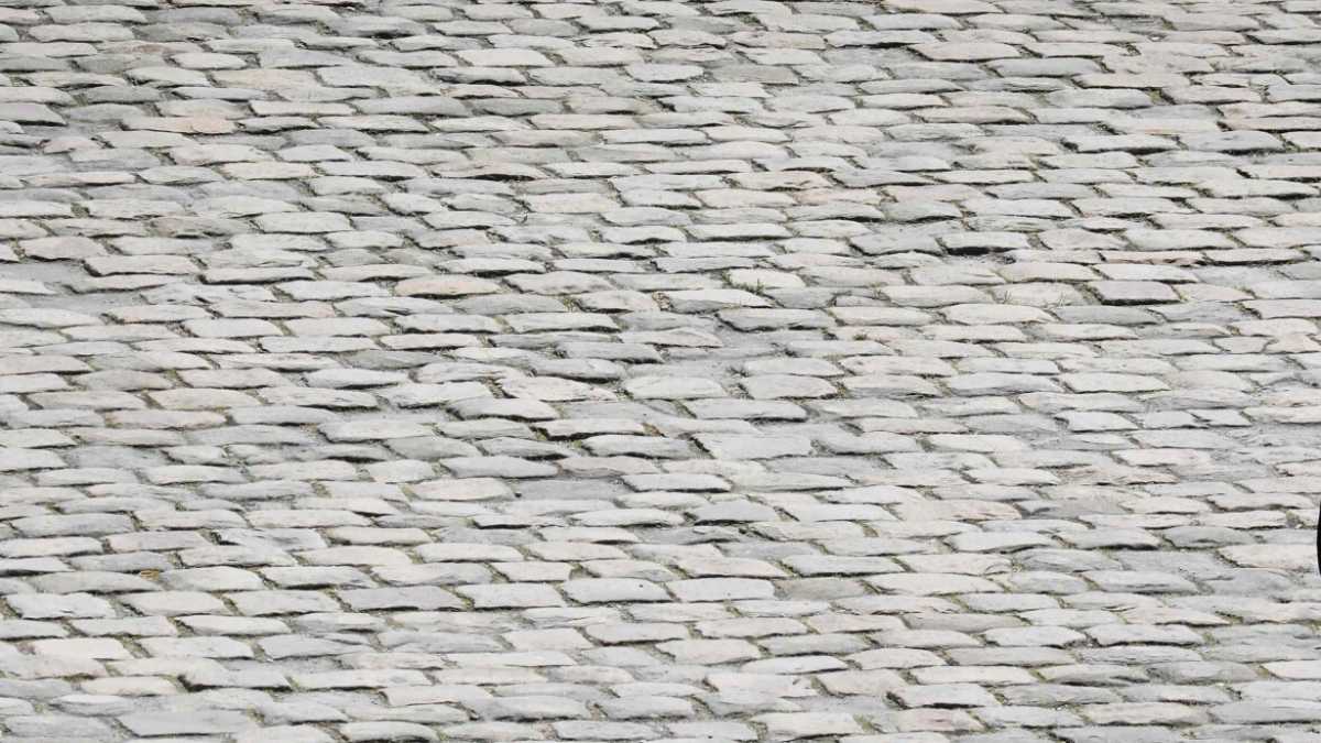 Immagine di Il misterioso Robert Piumati
