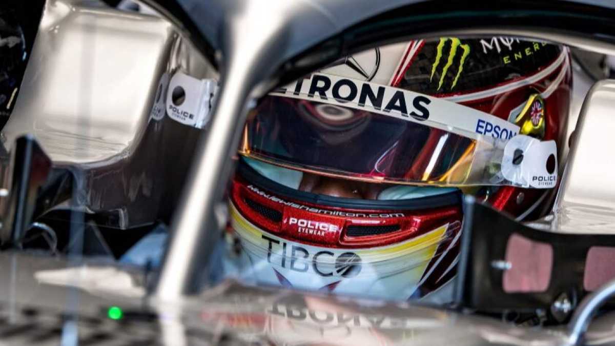 Immagine di La solitudine di Hamilton
