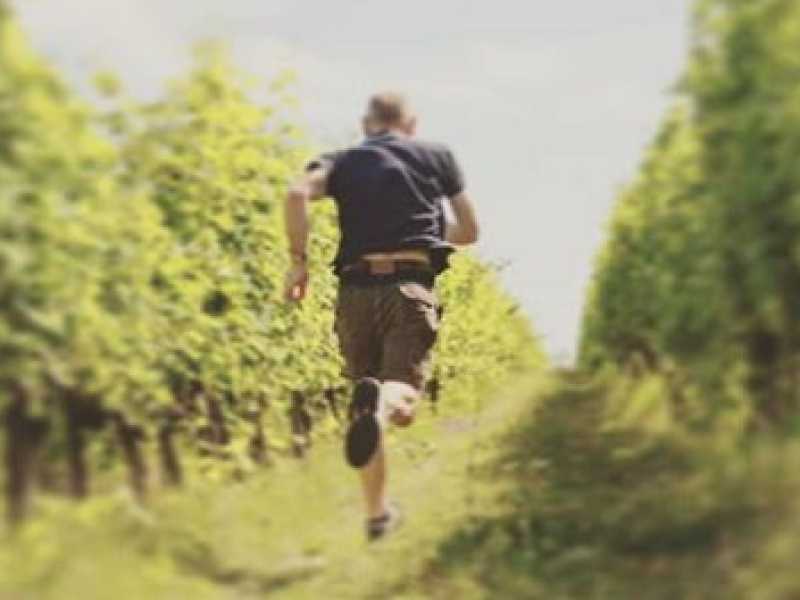 Il vino che domina la natura maligna