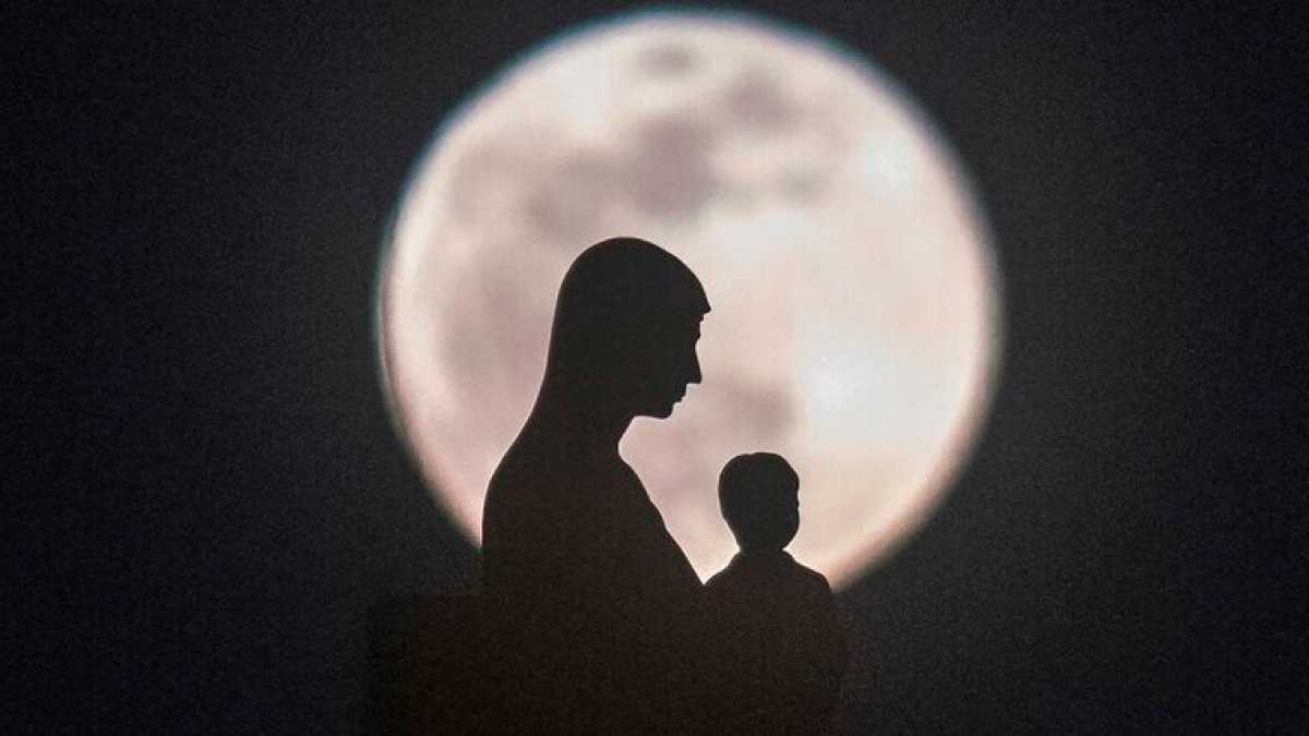 Immagine di Terrapiattisti sulla luna