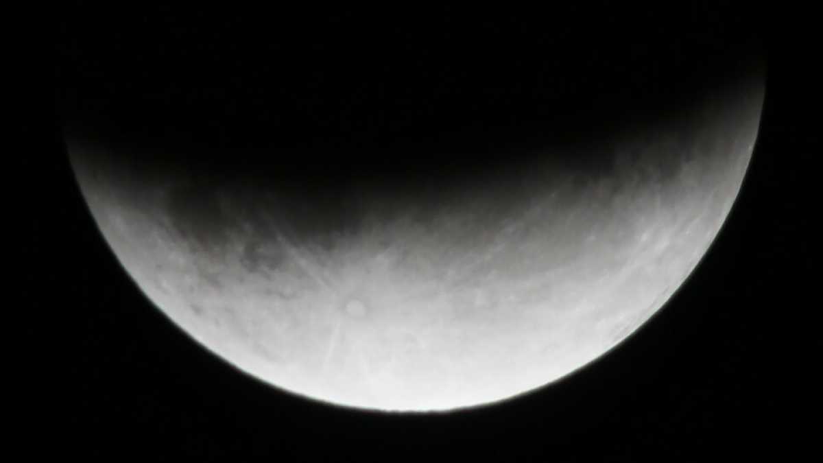 Immagine di Che delusione la cosmonautica