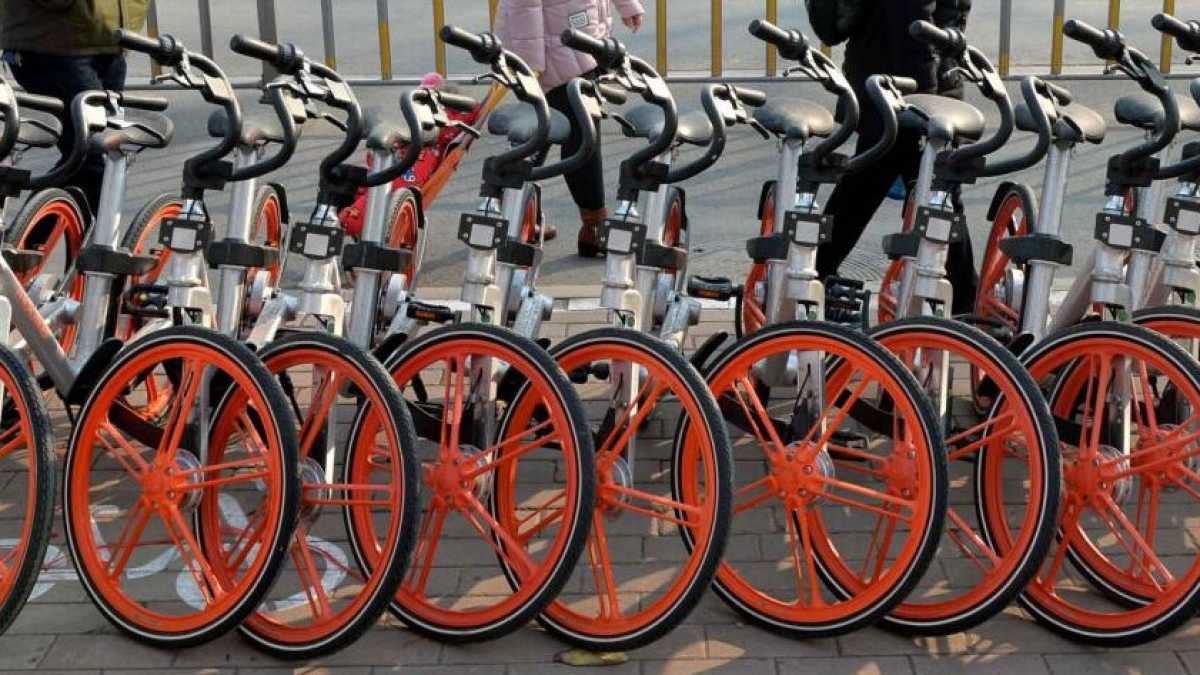 Immagine di Ogni cosa è condivisa. Il declino della proprietà