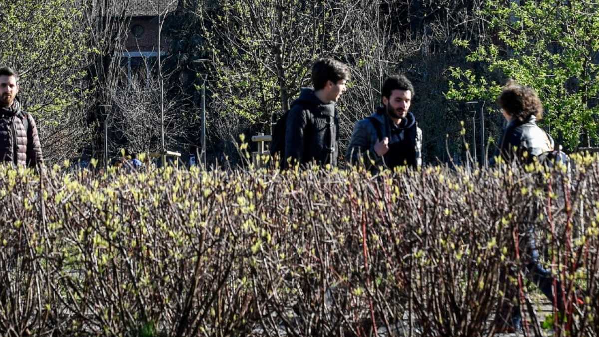 Immagine di Lavora benissimo chi studia al Poli (donne un po’ meno pagate, però)