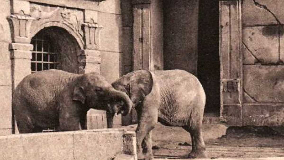 Immagine di Ode ad Armando Brasini, l’irrazionalista