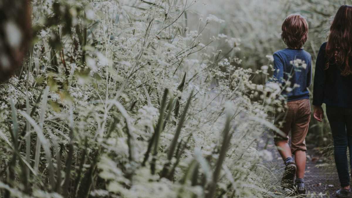 Immagine di Il rito educativo olandese che lascia i bambini soli nel bosco di notte