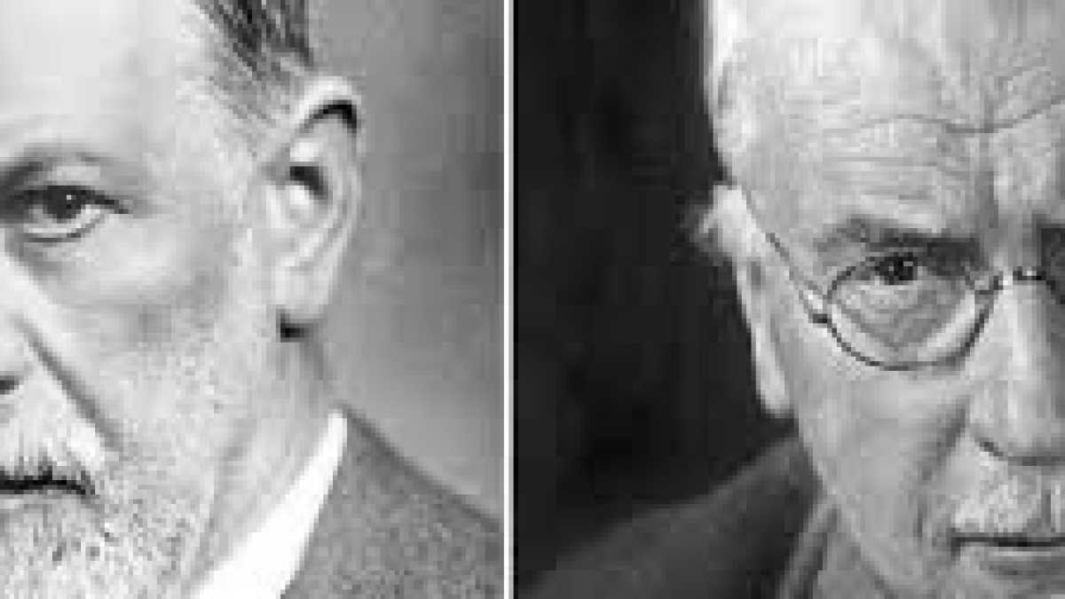 Immagine di Freud e Jung,quale analisi?