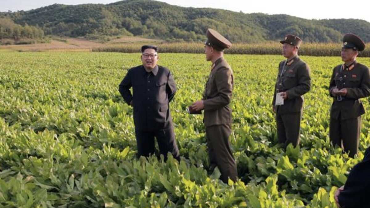 Immagine di Follow the money. L’Italia fa da ponte tra l’Europa e la Corea del nord