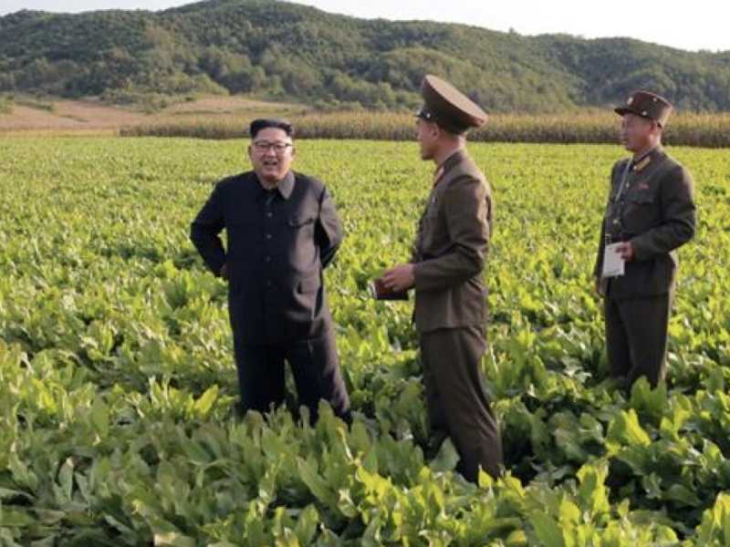 Kim Jong un (foto LaPresse)