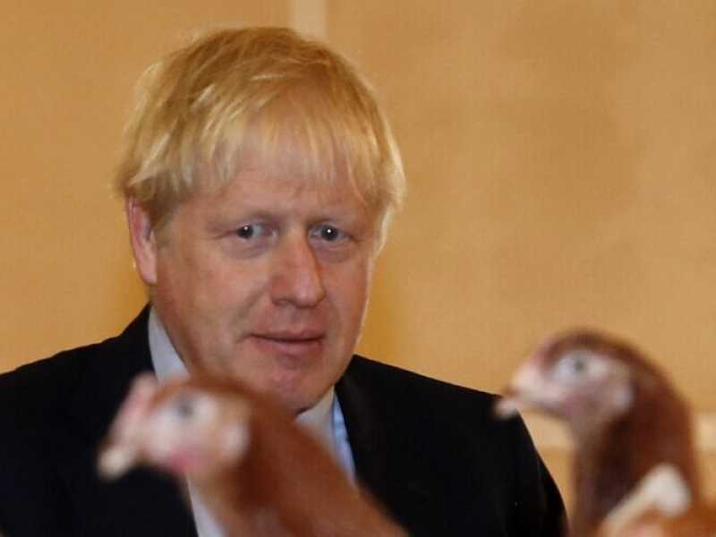 Il primo ministro britannico Boris Johnson visita la fattoria di Shervington a Newport (foto LaPresse)